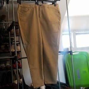 Lane Bryant Highrise Jegging